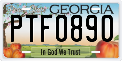 GA license plate PTF0890
