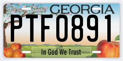GA license plate PTF0891