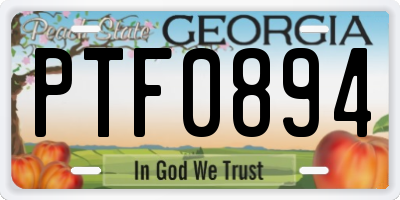 GA license plate PTF0894