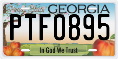 GA license plate PTF0895