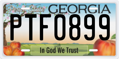 GA license plate PTF0899