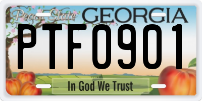 GA license plate PTF0901