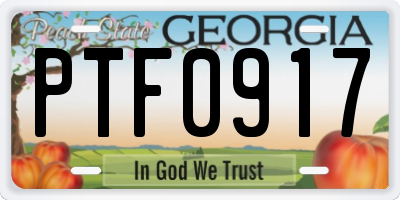 GA license plate PTF0917