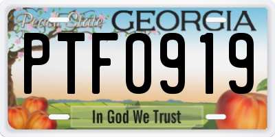 GA license plate PTF0919