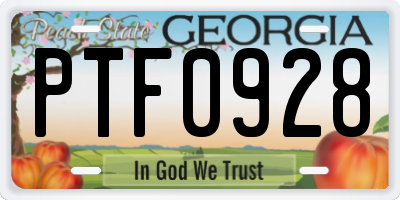 GA license plate PTF0928