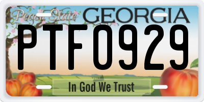 GA license plate PTF0929