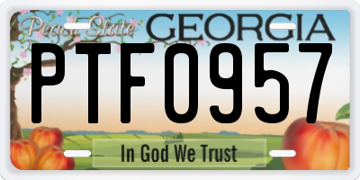 GA license plate PTF0957