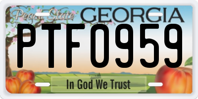 GA license plate PTF0959