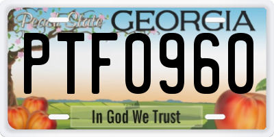 GA license plate PTF0960