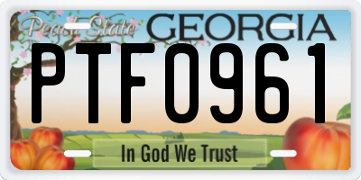 GA license plate PTF0961