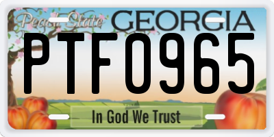 GA license plate PTF0965