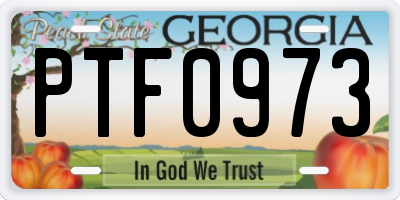 GA license plate PTF0973