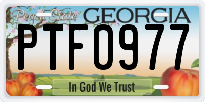 GA license plate PTF0977
