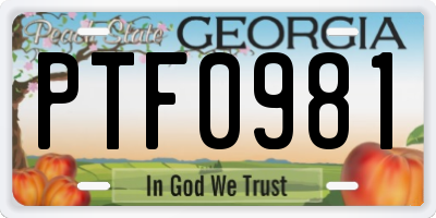 GA license plate PTF0981