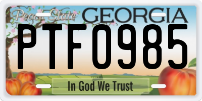 GA license plate PTF0985