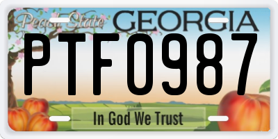 GA license plate PTF0987
