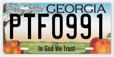 GA license plate PTF0991