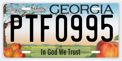 GA license plate PTF0995