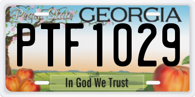 GA license plate PTF1029