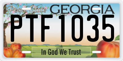 GA license plate PTF1035