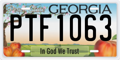 GA license plate PTF1063