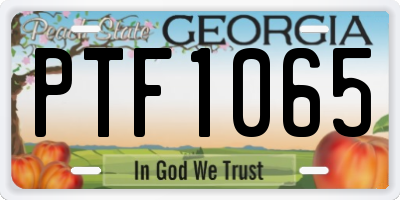 GA license plate PTF1065