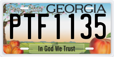 GA license plate PTF1135