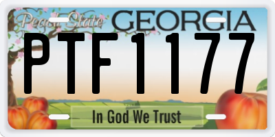 GA license plate PTF1177