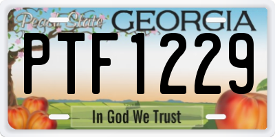 GA license plate PTF1229