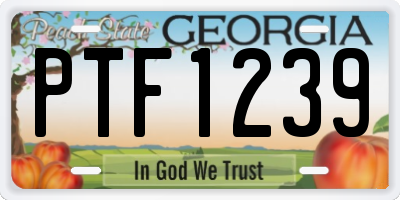 GA license plate PTF1239