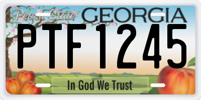 GA license plate PTF1245