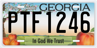 GA license plate PTF1246