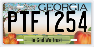 GA license plate PTF1254