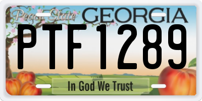 GA license plate PTF1289