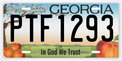 GA license plate PTF1293