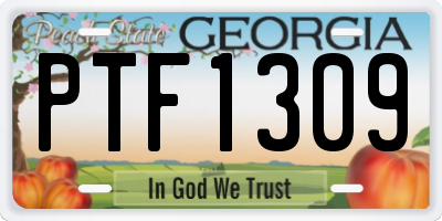GA license plate PTF1309