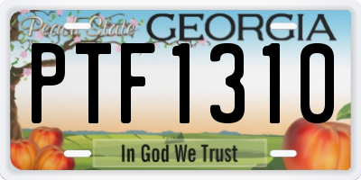 GA license plate PTF1310