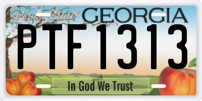 GA license plate PTF1313