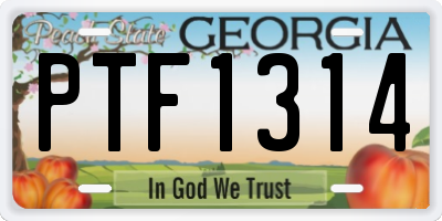 GA license plate PTF1314