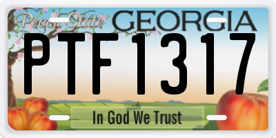 GA license plate PTF1317