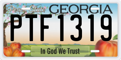 GA license plate PTF1319