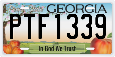 GA license plate PTF1339