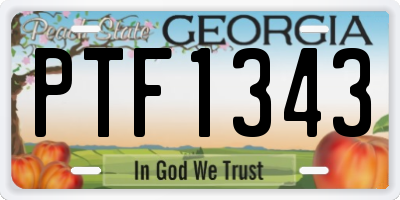GA license plate PTF1343