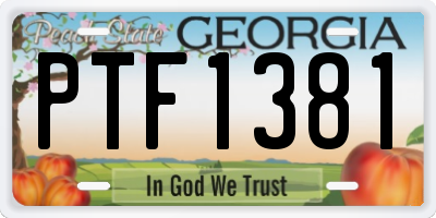 GA license plate PTF1381