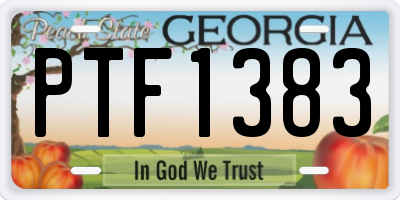GA license plate PTF1383