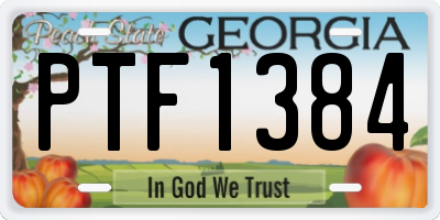 GA license plate PTF1384