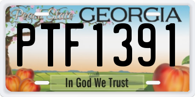 GA license plate PTF1391