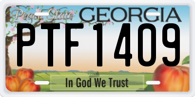GA license plate PTF1409