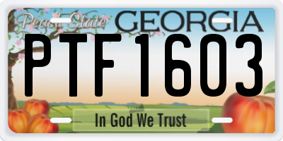 GA license plate PTF1603