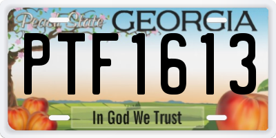 GA license plate PTF1613
